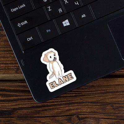 Sticker Golden Retriever Elane Gift package Image