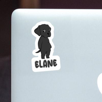 Sticker Labrador Elane Gift package Image