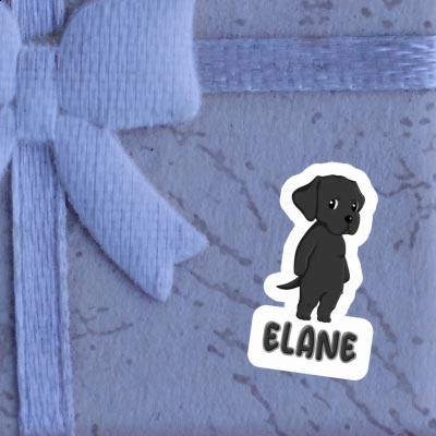 Elane Autocollant Labrador Image