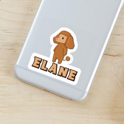 Sticker Poodle Elane Gift package Image