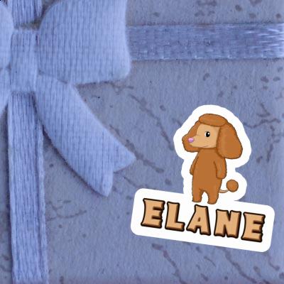 Sticker Poodle Elane Notebook Image