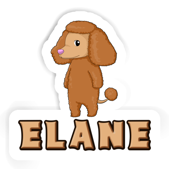 Sticker Poodle Elane Gift package Image