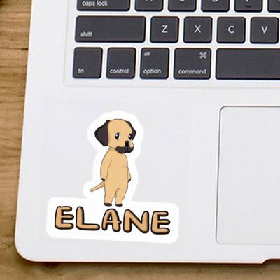 Elane Autocollant Rhodésian Ridgeback Laptop Image