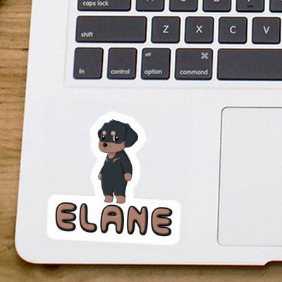 Rottweiler Sticker Elane Laptop Image