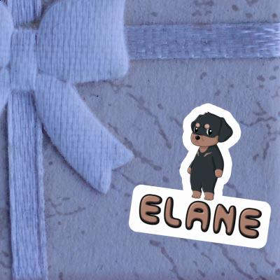 Elane Sticker Rottweiler Gift package Image