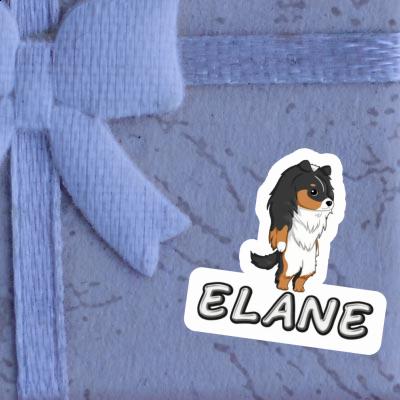 Aufkleber Shetland Sheepdog Elane Laptop Image