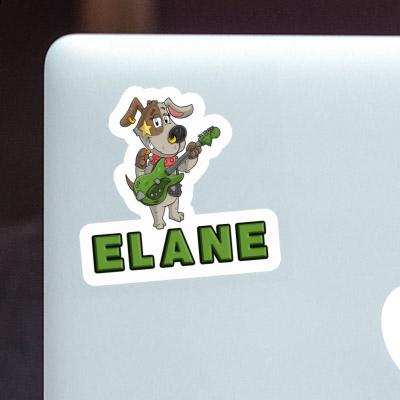 Guitarist Sticker Elane Gift package Image