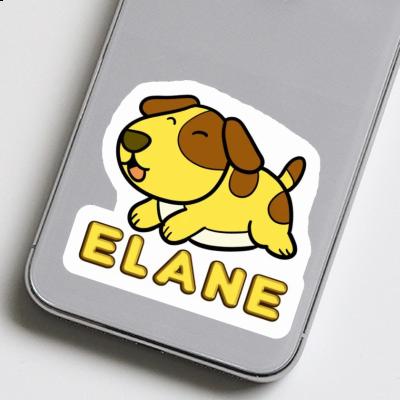 Elane Sticker Hund Gift package Image