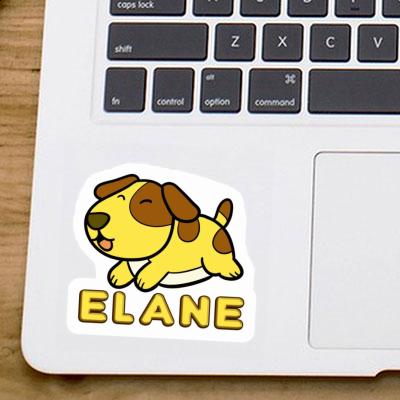 Elane Sticker Dog Gift package Image