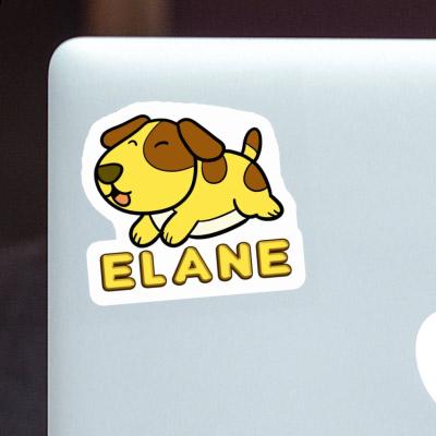 Elane Sticker Dog Gift package Image