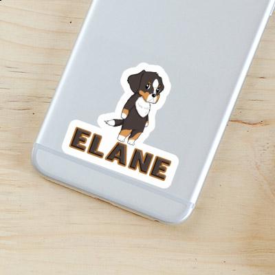 Sticker Bernese Mountain Dog Elane Image