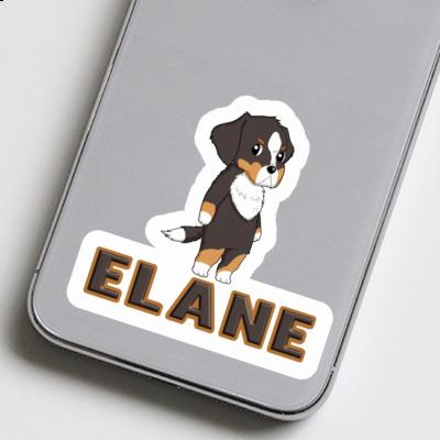 Sticker Bernese Mountain Dog Elane Image