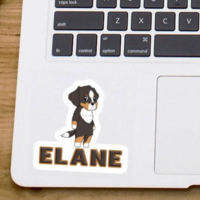 Sticker Bernese Mountain Dog Elane Laptop Image