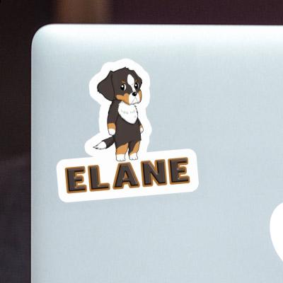 Sticker Bernese Mountain Dog Elane Laptop Image