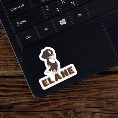 Elane Sticker Berner Sennenhund Image