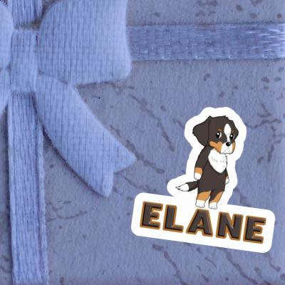 Sticker Bernese Mountain Dog Elane Image