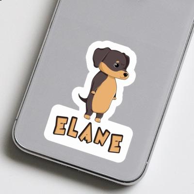 Sticker Elane Dachshund Gift package Image