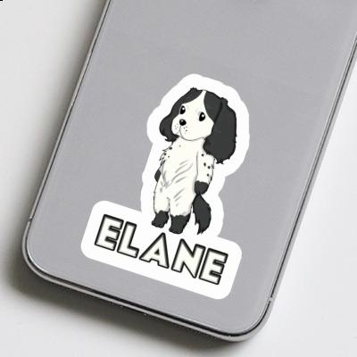 Sticker English Cocker Spaniel Elane Gift package Image