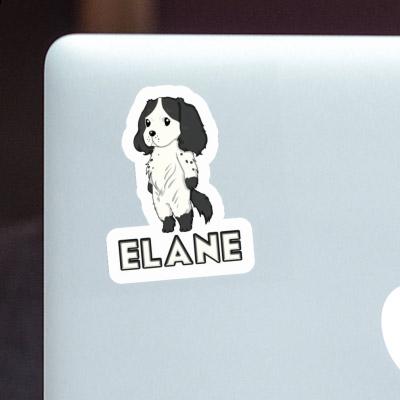 Sticker English Cocker Spaniel Elane Gift package Image