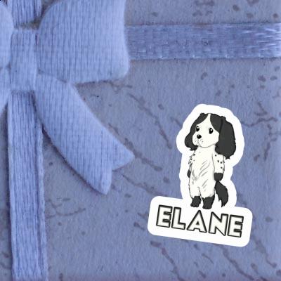 Spaniel Aufkleber Elane Gift package Image