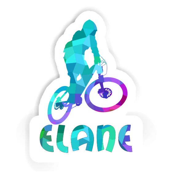 Elane Sticker Downhiller Gift package Image