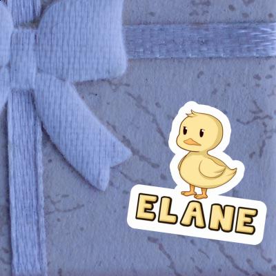 Sticker Elane Duck Gift package Image