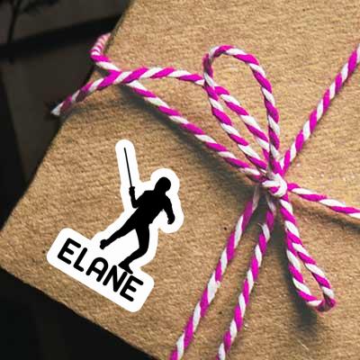 Elane Sticker Fencer Laptop Image