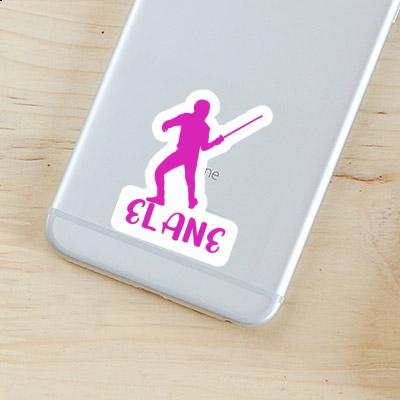 Elane Sticker Fencer Gift package Image