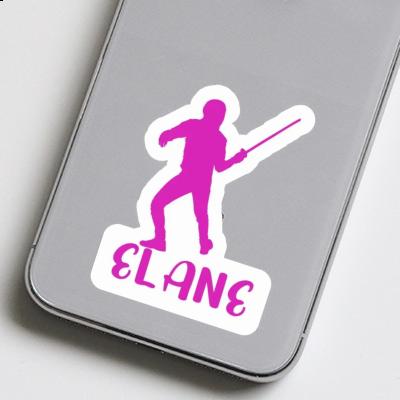 Elane Sticker Fencer Gift package Image