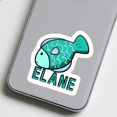 Fish Sticker Elane Gift package Image