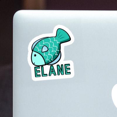 Fish Sticker Elane Gift package Image