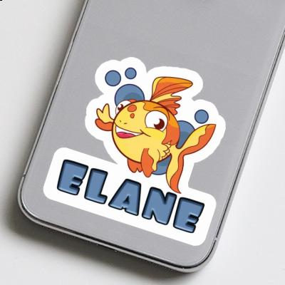 Fish Sticker Elane Gift package Image