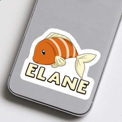 Aufkleber Fisch Elane Laptop Image