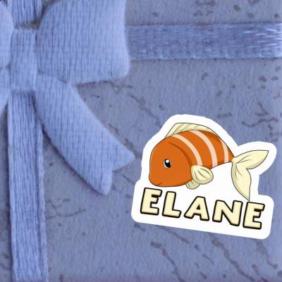 Autocollant Poisson Elane Gift package Image