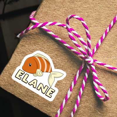 Sticker Fish Elane Gift package Image