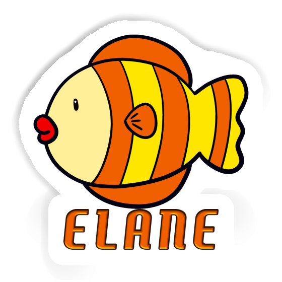 Fish Sticker Elane Gift package Image