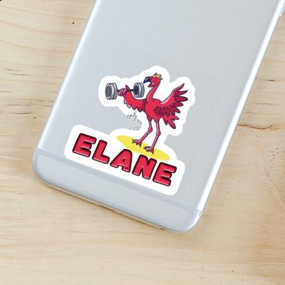 Weight Lifter Sticker Elane Gift package Image