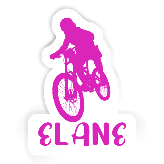 Freeride Biker Autocollant Elane Gift package Image