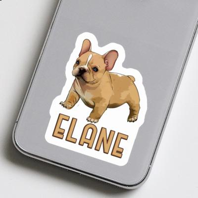 Autocollant Bouledogue Elane Laptop Image