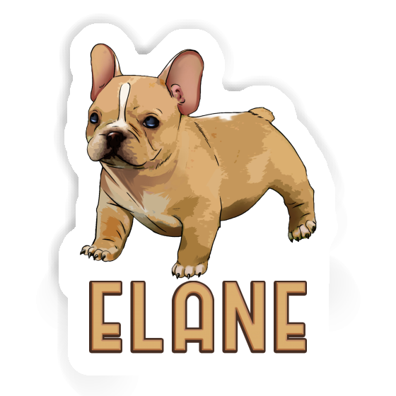 Autocollant Bouledogue Elane Image