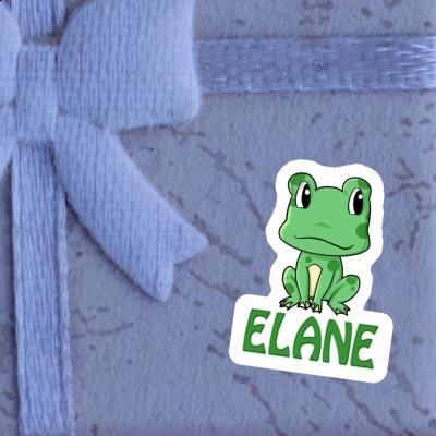 Sticker Frog Elane Laptop Image