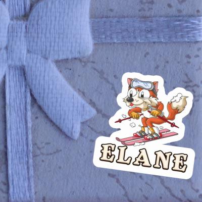 Fox Sticker Elane Gift package Image