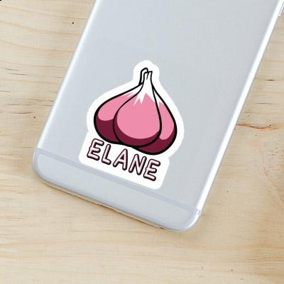 Sticker Elane Garlic clove Gift package Image