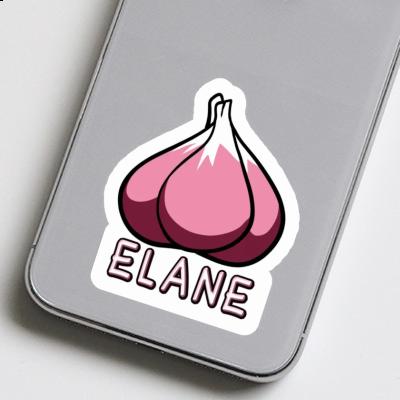 Sticker Elane Garlic clove Notebook Image