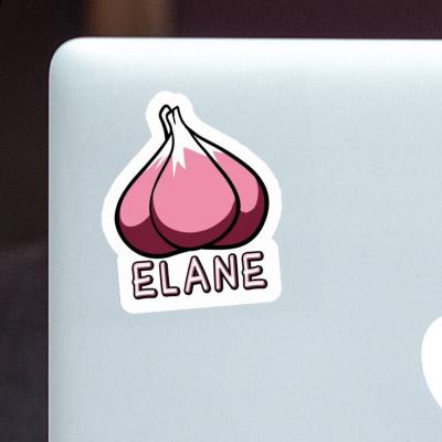 Sticker Elane Garlic clove Image