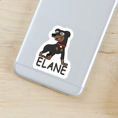 Sticker German Pinscher Elane Laptop Image