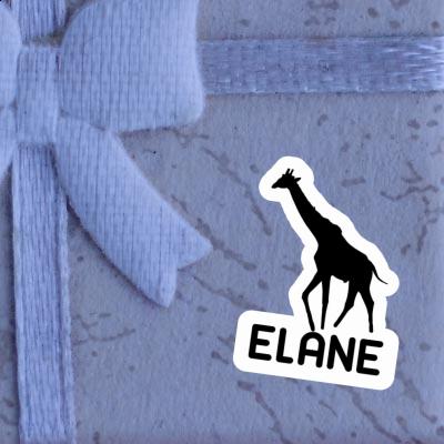 Autocollant Elane Girafe Gift package Image