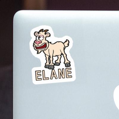 Chèvre Autocollant Elane Laptop Image