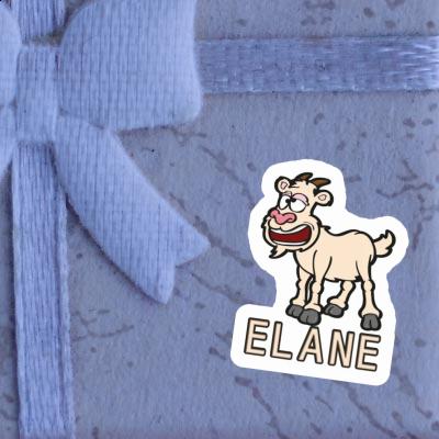 Ziege Sticker Elane Gift package Image