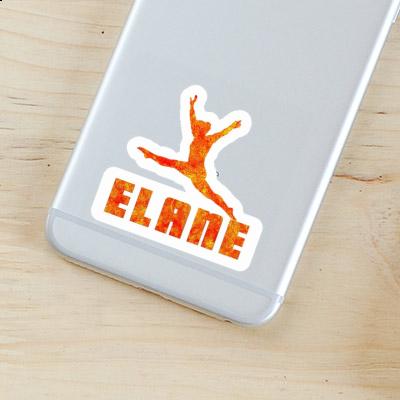 Gymnast Sticker Elane Gift package Image